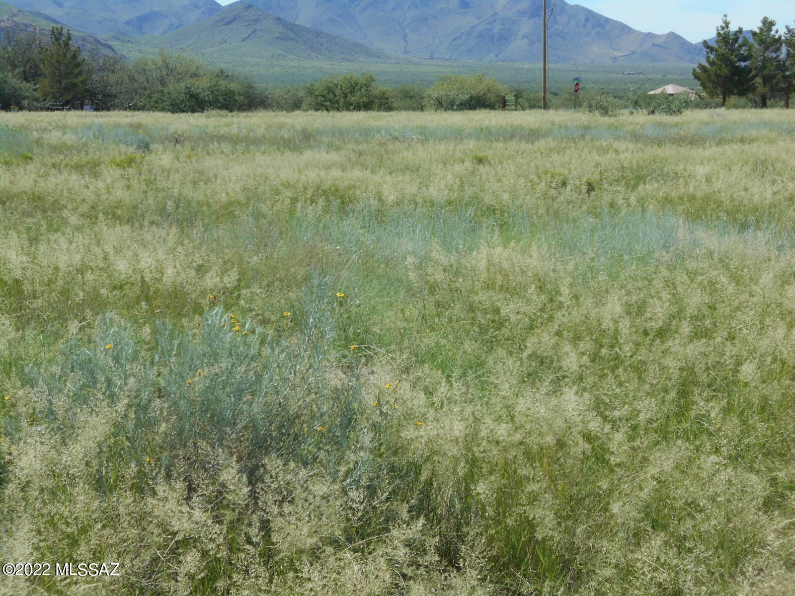 1.1-acres Treasure Road, Unit 7 Pearce, AZ 85625 - Photo 25 of 38 Gallery Image 25