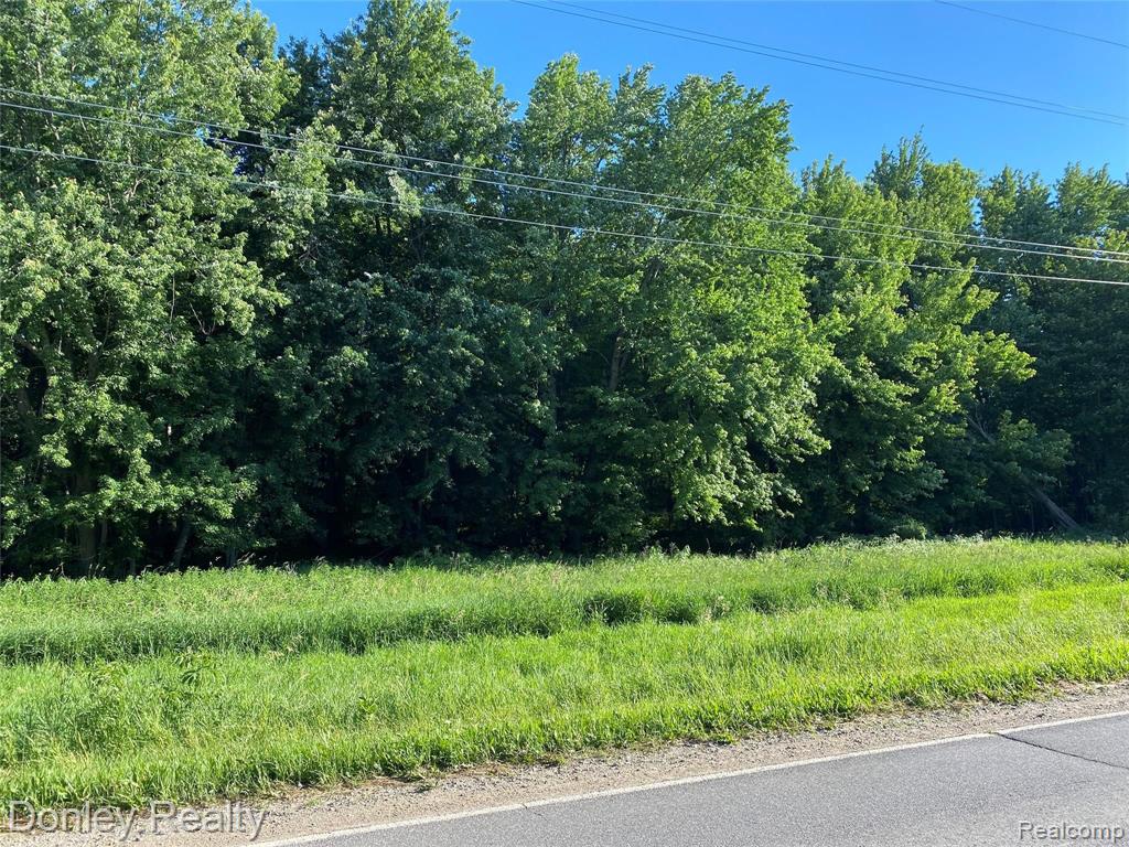 V/l Sharp Road Clifford, MI 48727 - Photo 2 of 6