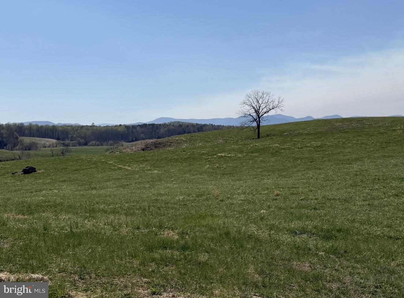 1388 Novum Church Road Reva, VA 22735 - Photo 3 of 4