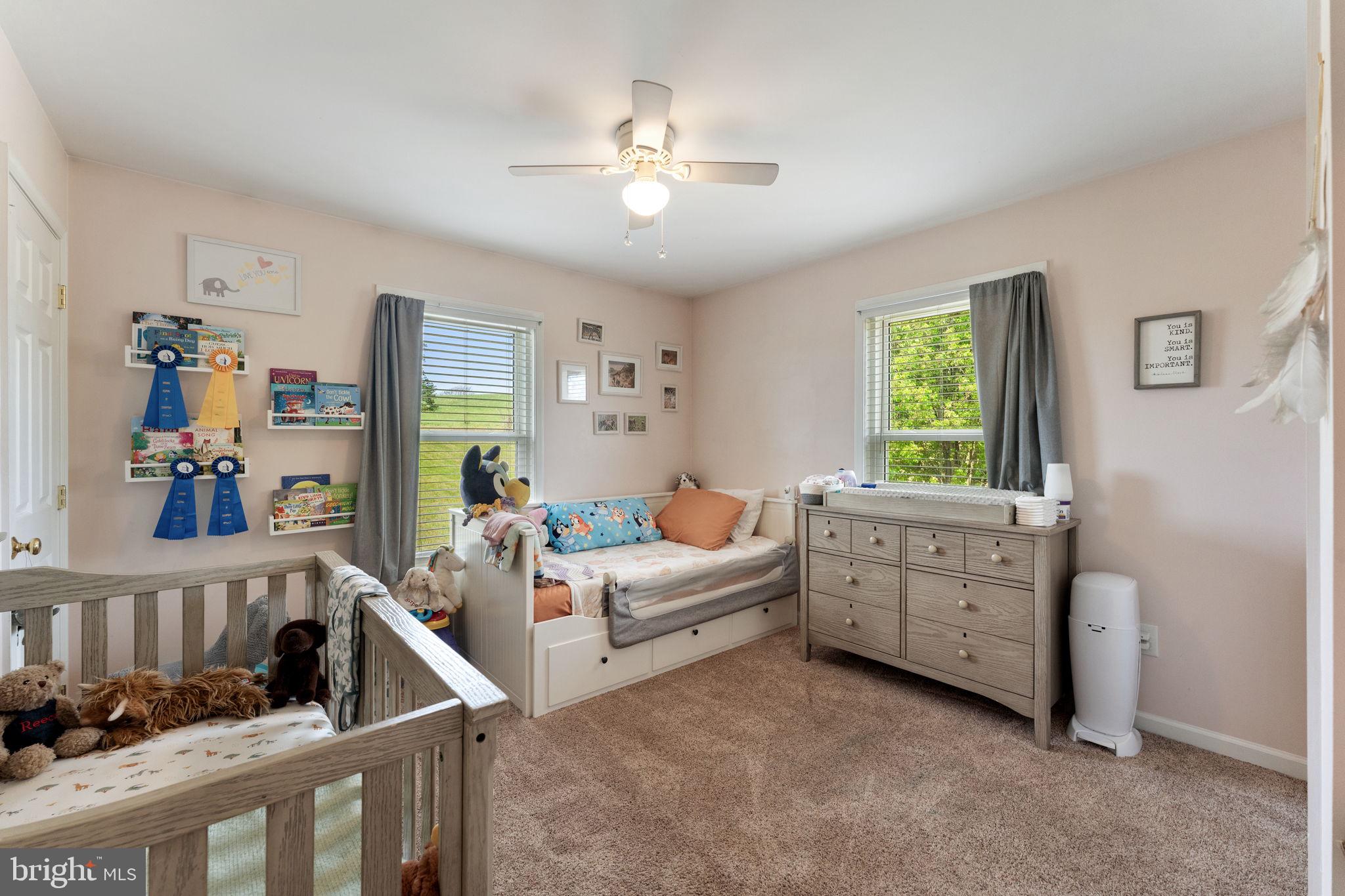 1388 Novum Church Road Reva, VA 22735 - Photo 35 of 65