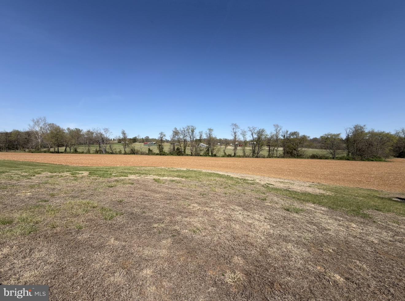 1388 Novum Church Road Reva, VA 22735 - Photo 4 of 4