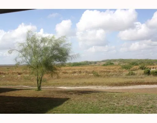 a view of beach and ocean