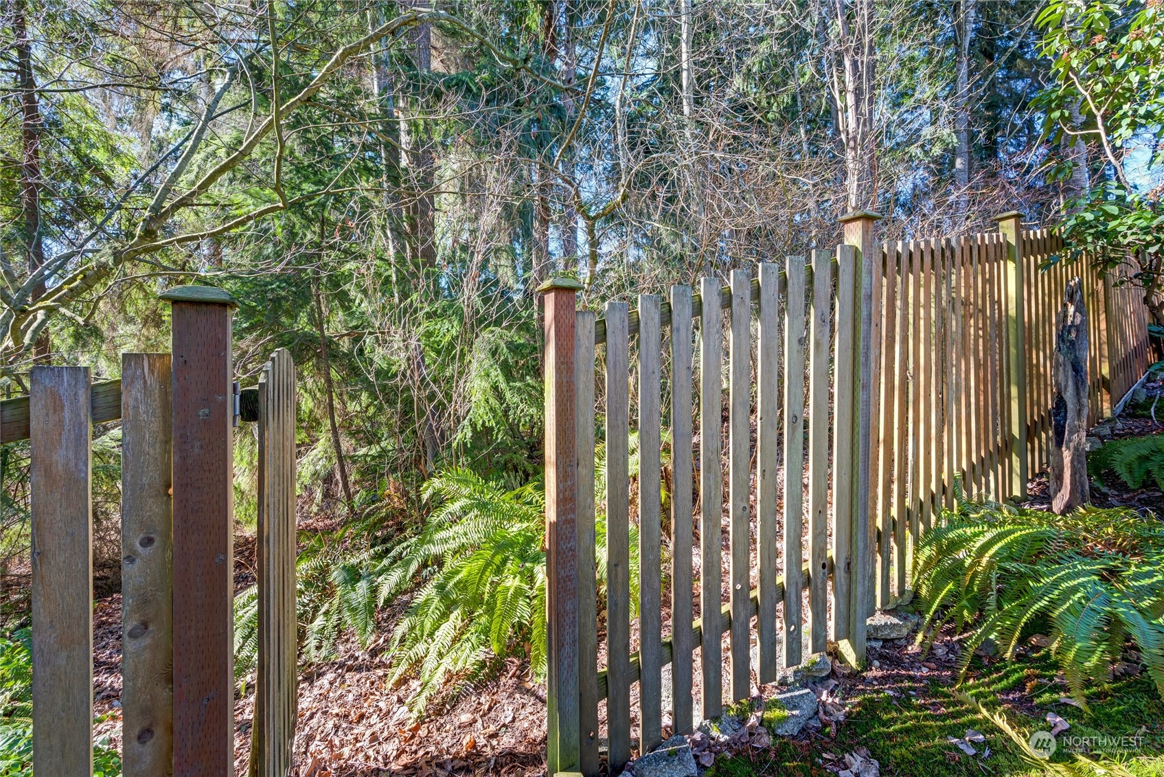 2914 184th Place Southeast Bothell, WA 98012 - Photo 28 of 40 a view of a backyard with plants and large trees