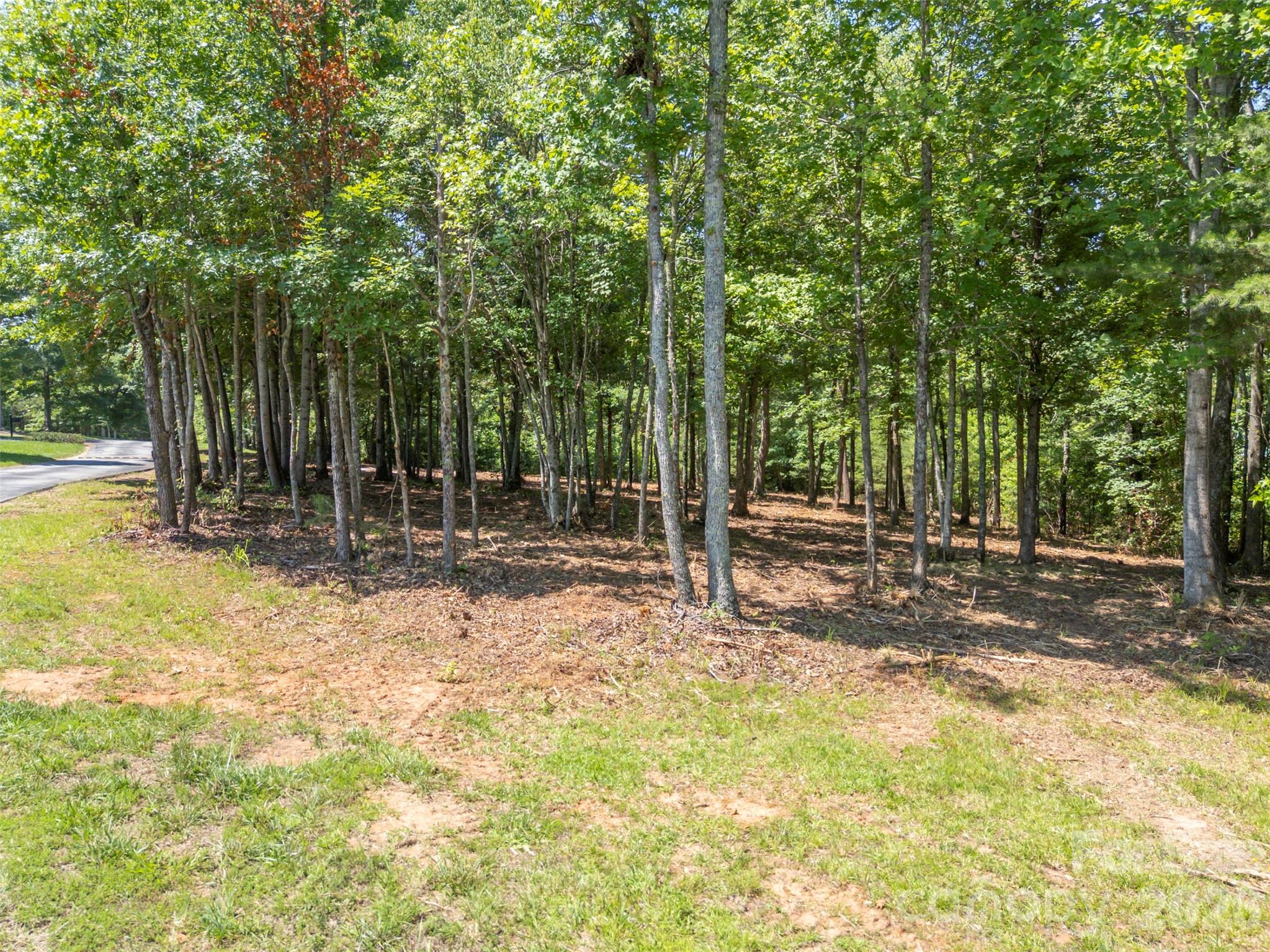 0 Doveridge Drive, Unit 66 Tryon, NC 28782 - Photo 20 of 21 a backyard of a house with lots of green space