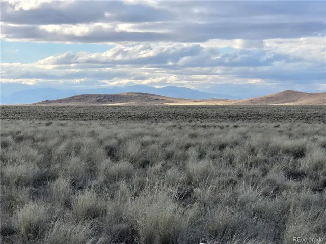 a view of a field of grass and trees