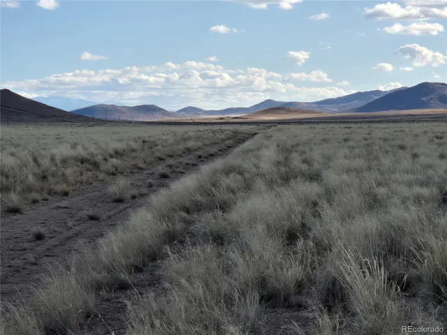 a view of a big yard