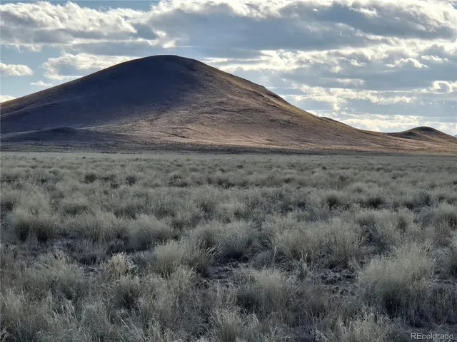 a view of a dry yard
