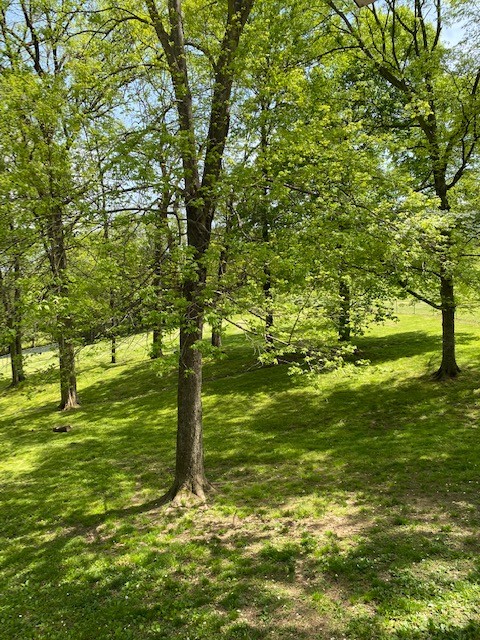 863 Smith Branch Road Clarksville, TN 37042 - Photo 27 of 44 Gallery Image 27