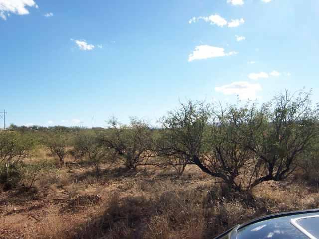 103 Camino Embarcadero Rio Rico, AZ 85648 - Photo 2 of 3