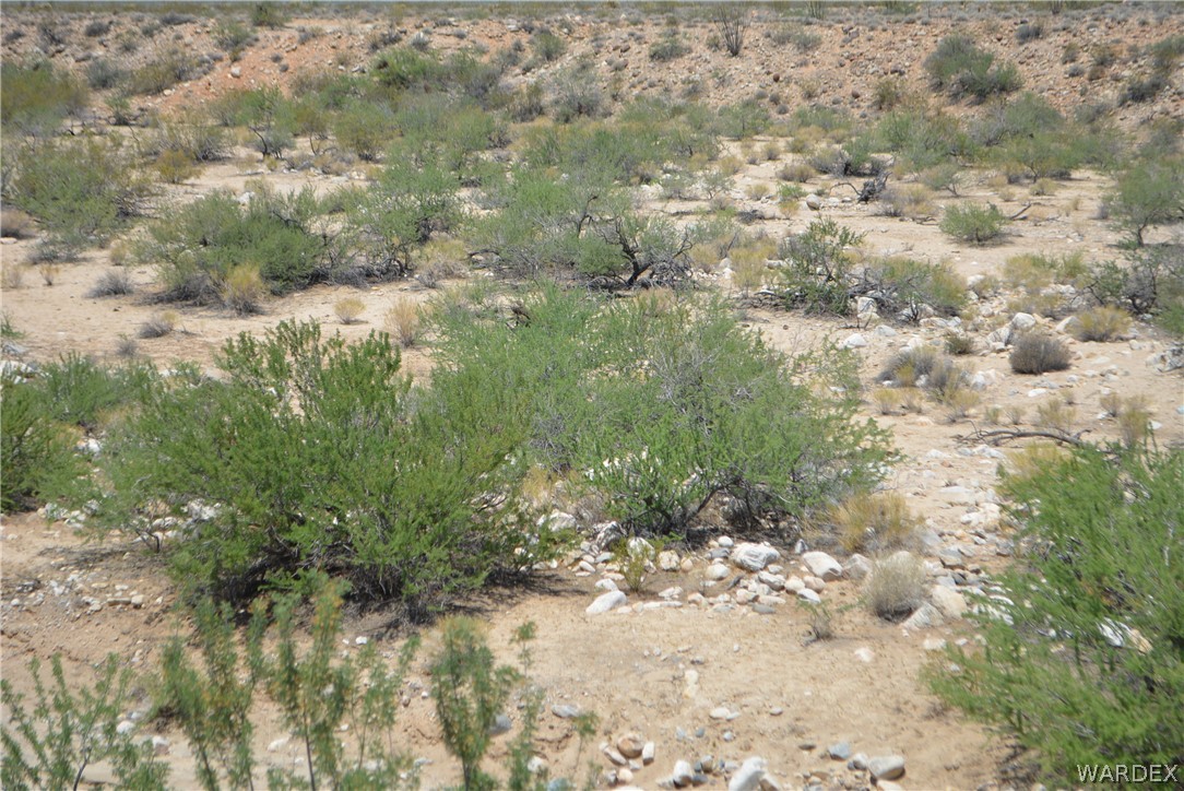 208-24-134 Cameron Road Yucca, AZ 86438 - Photo 35 of 86