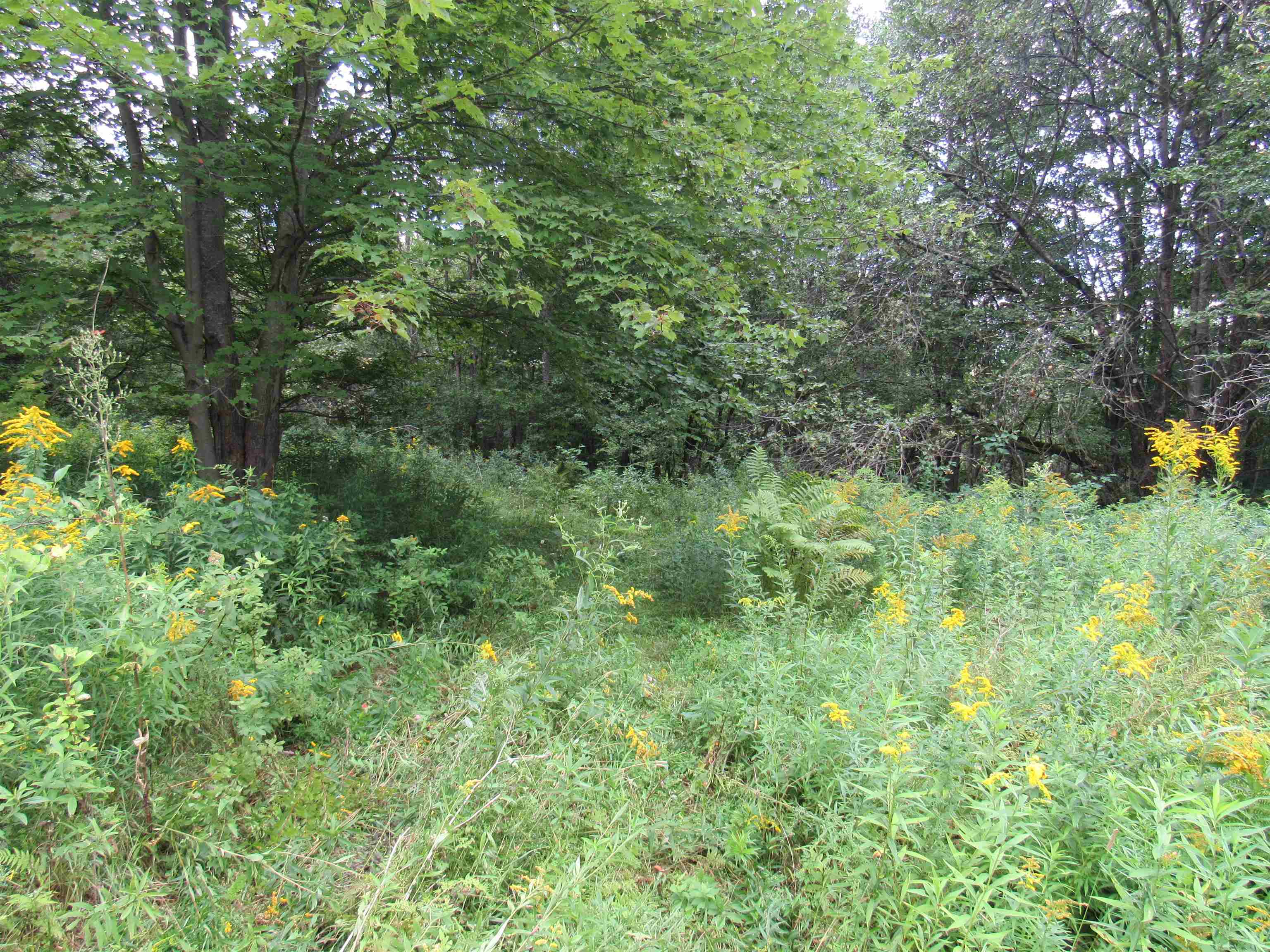 River Road North Troy, VT 05859 - Photo 11 of 13