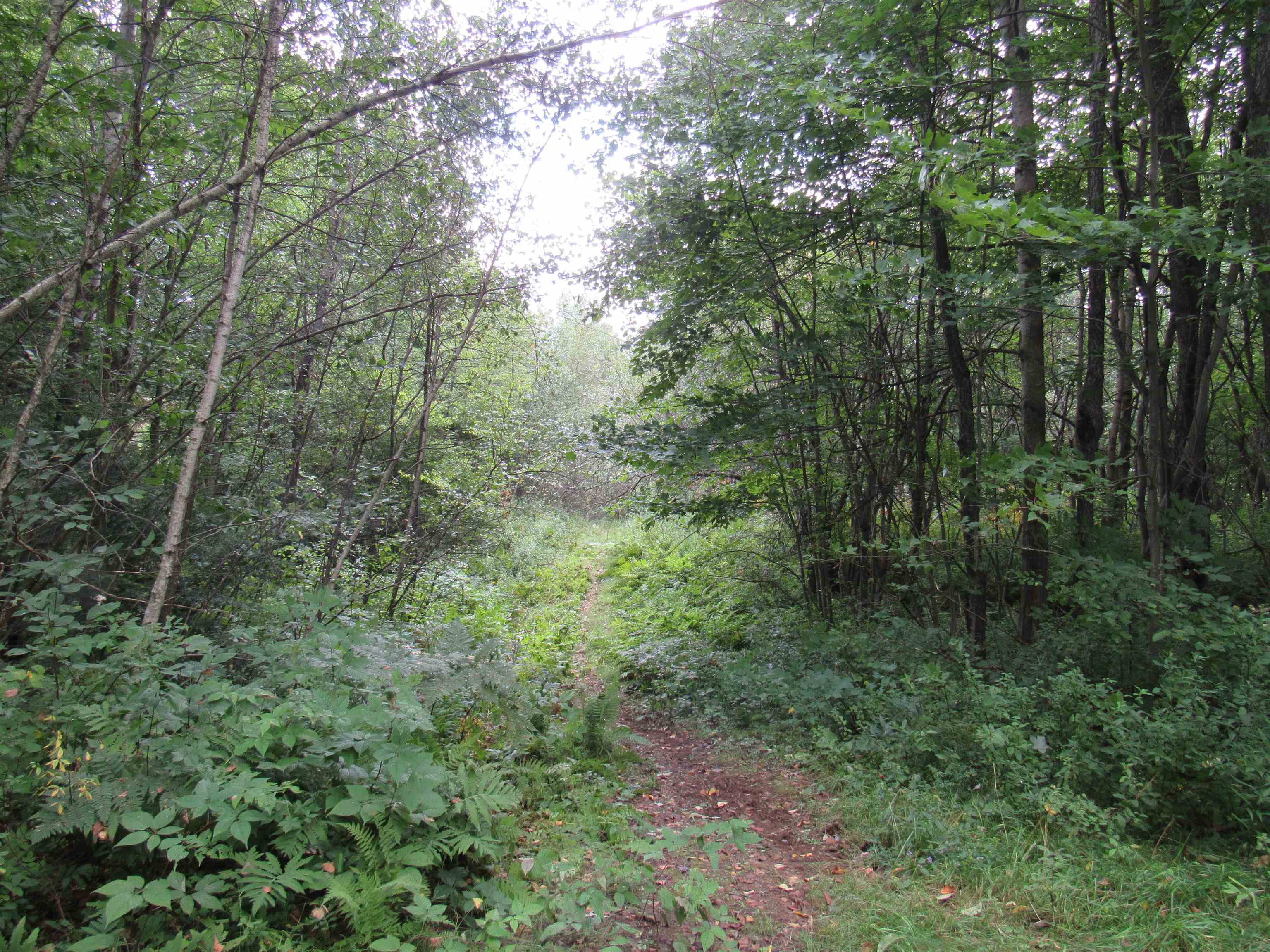 River Road North Troy, VT 05859 - Photo 10 of 13