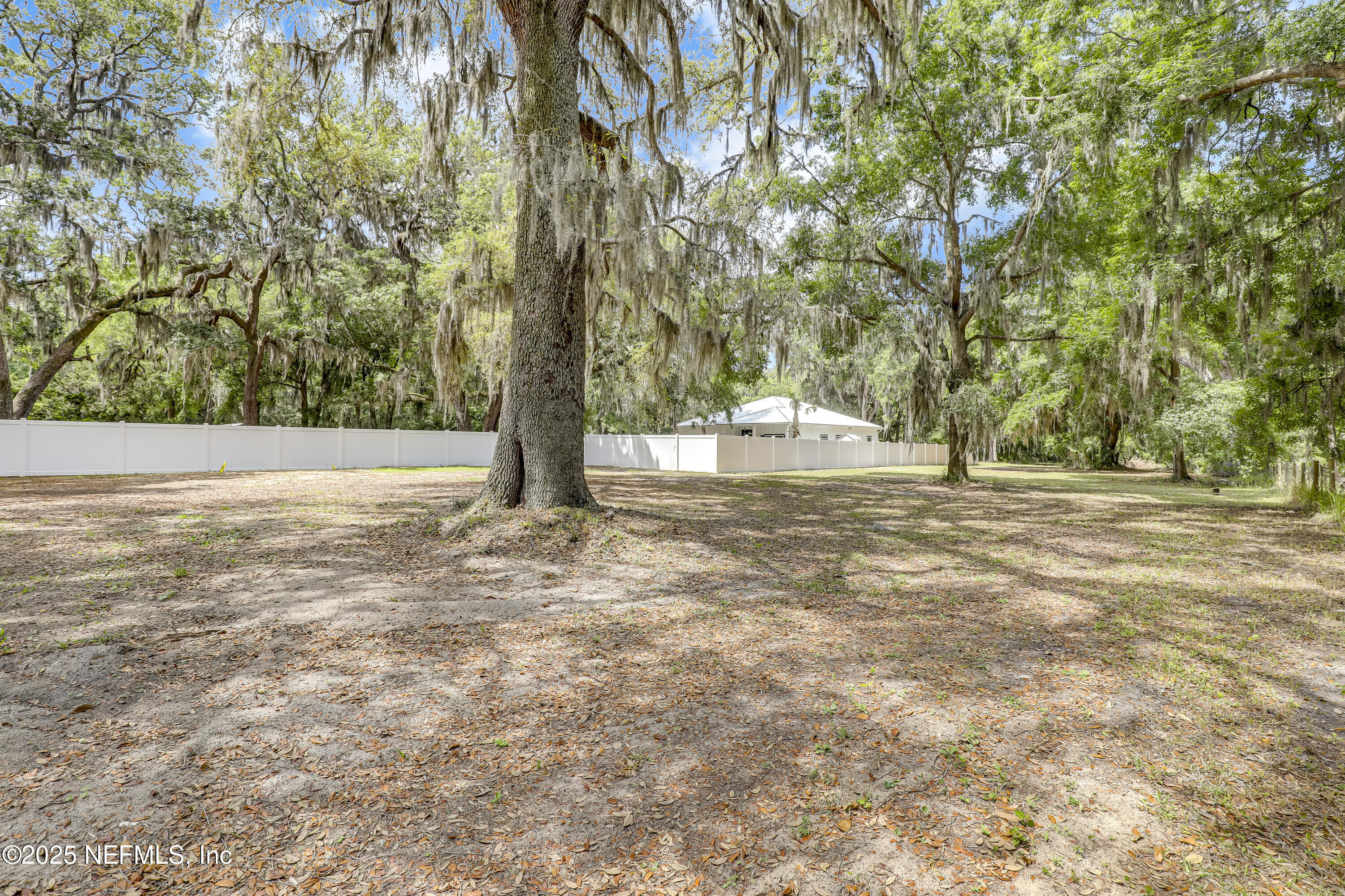 12092 Sheffield Road Jacksonville, FL 32226 - Photo 39 of 55 a view of yard with tree