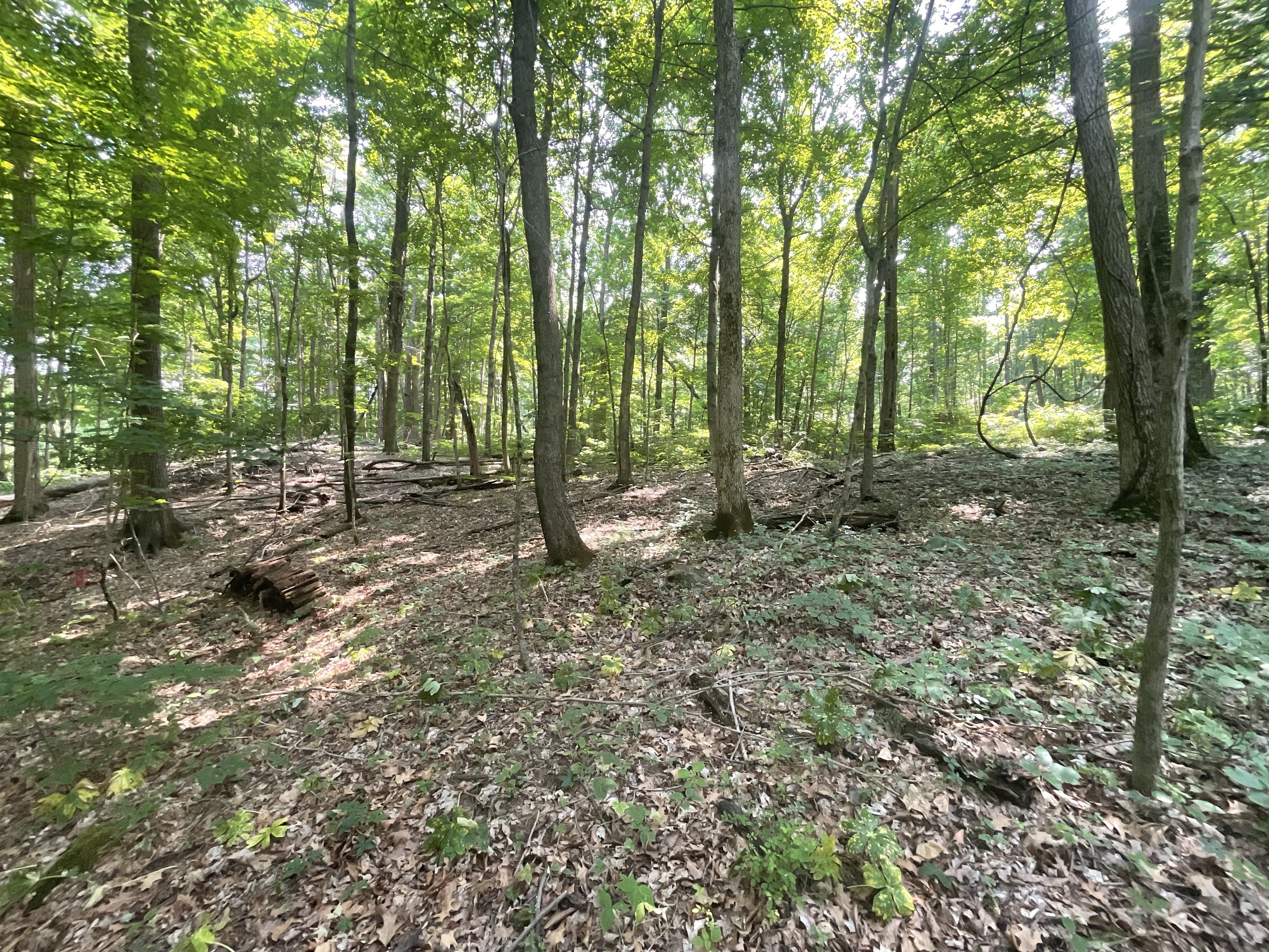 0 Garrard Chapel Road Poland, IN 47868 - Photo 4 of 9