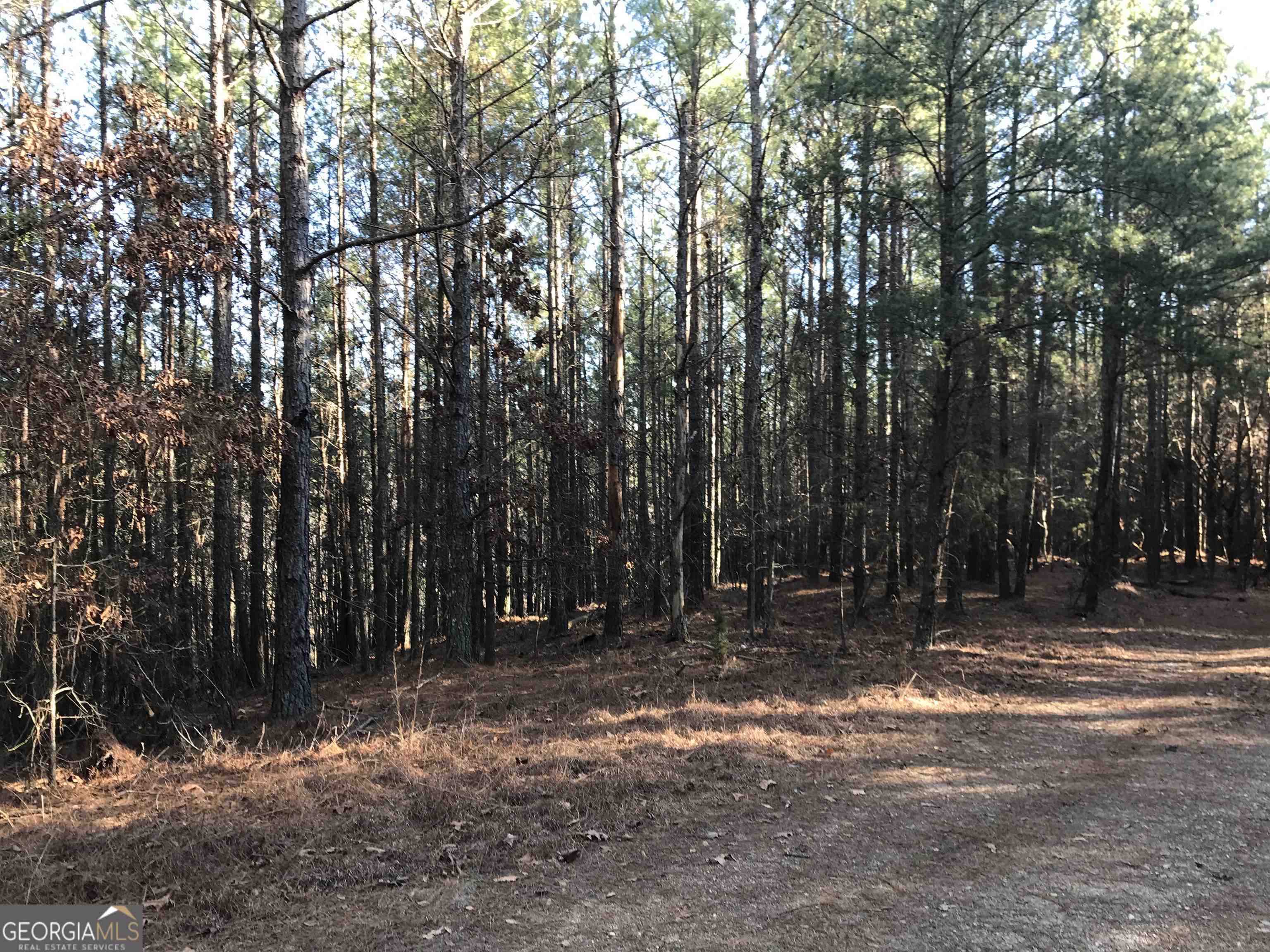 0 Redbud Road Northeast, Unit 9625 Ranger, GA 30734 - Photo 11 of 15