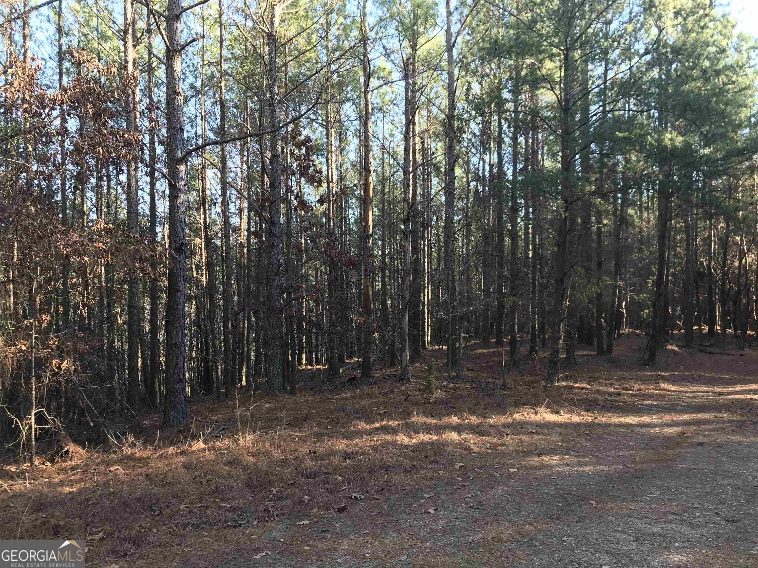 0 Redbud Road Northeast, Unit 9625 Ranger, GA 30734 - Photo 12 of 15