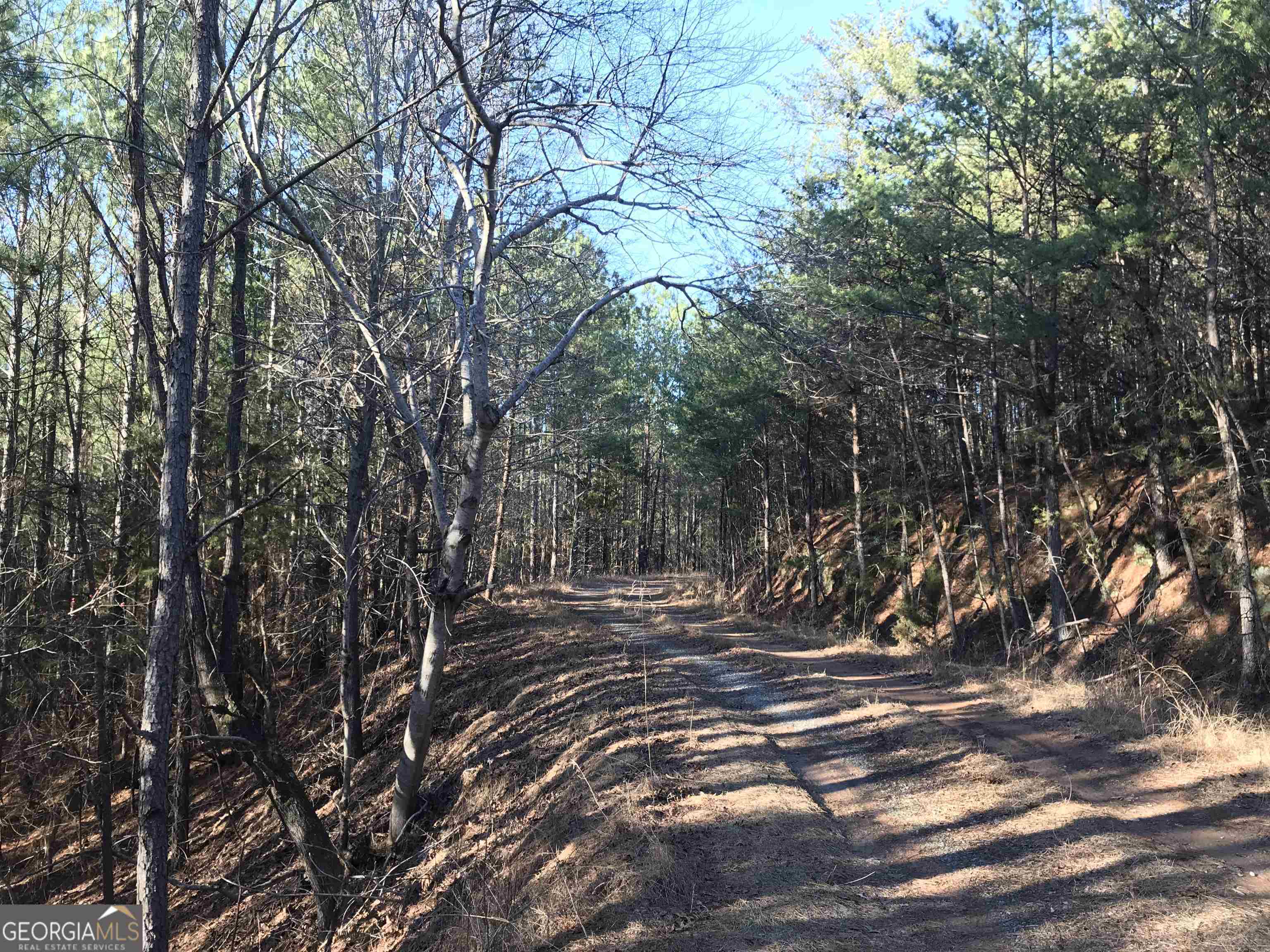 0 Redbud Road Northeast, Unit 9625 Ranger, GA 30734 - Photo 15 of 15