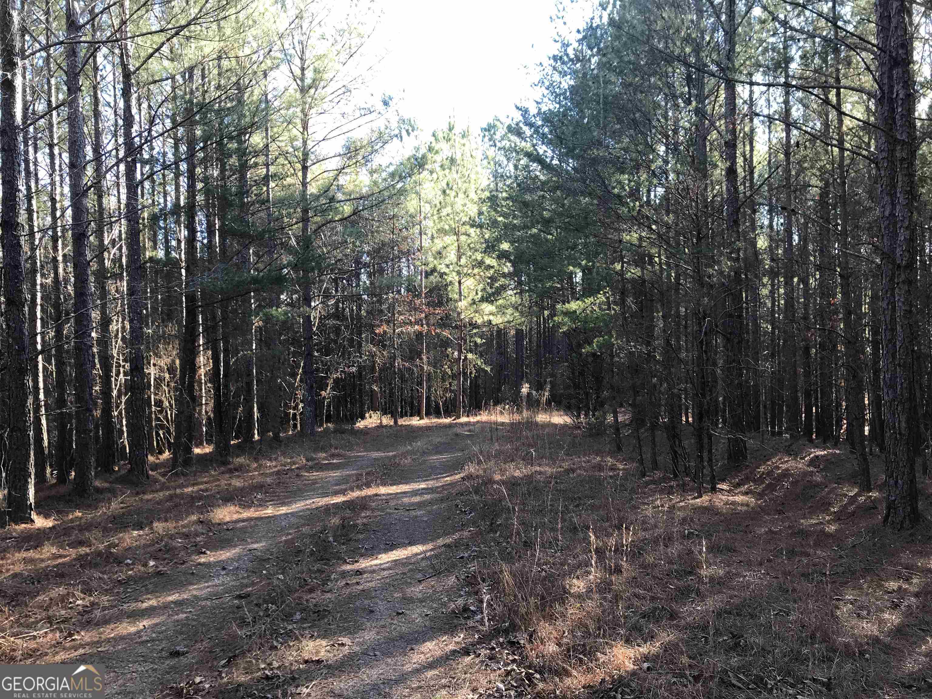 0 Redbud Road Northeast, Unit 9625 Ranger, GA 30734 - Photo 6 of 15