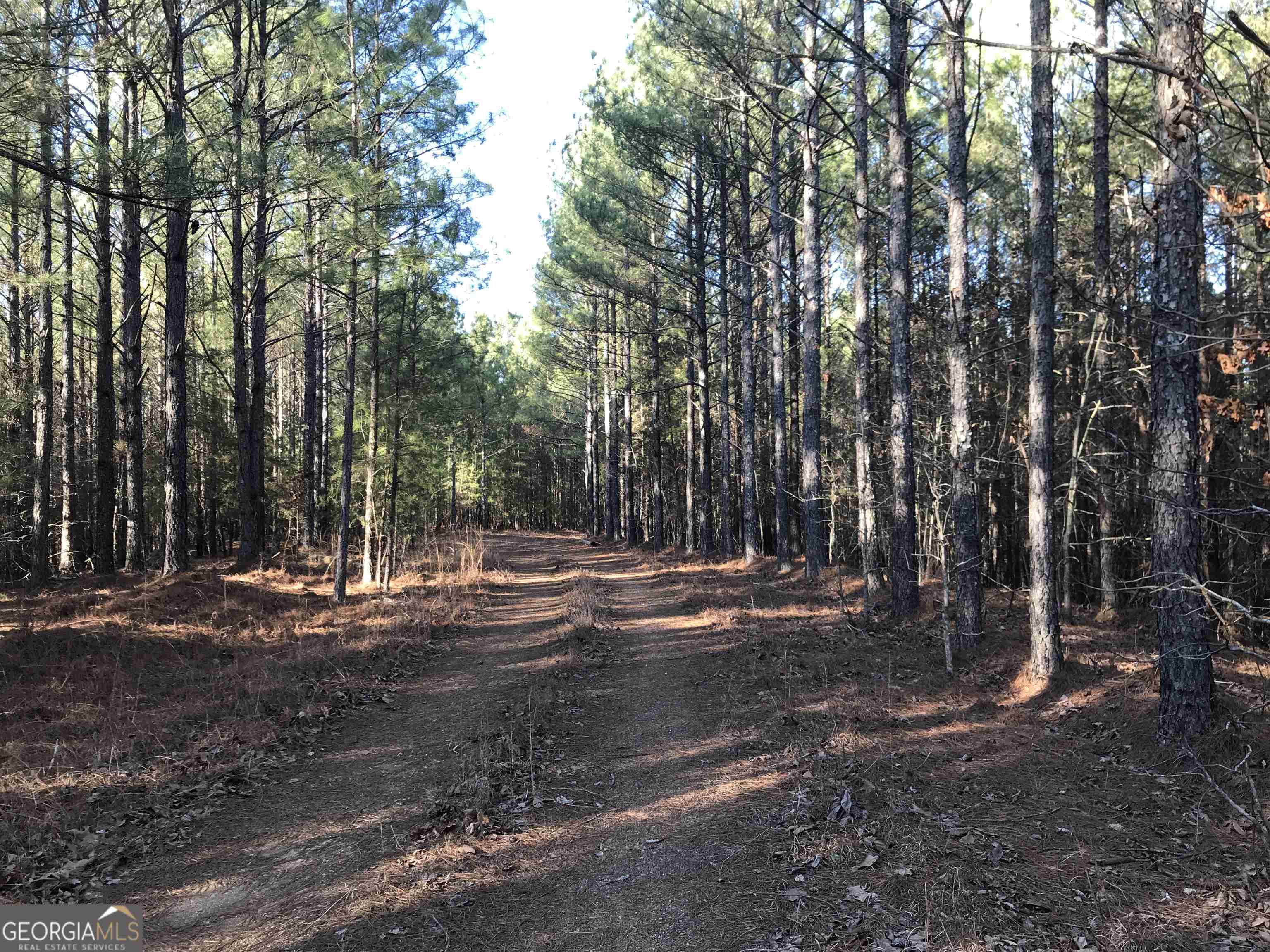 0 Redbud Road Northeast, Unit 9625 Ranger, GA 30734 - Photo 8 of 15