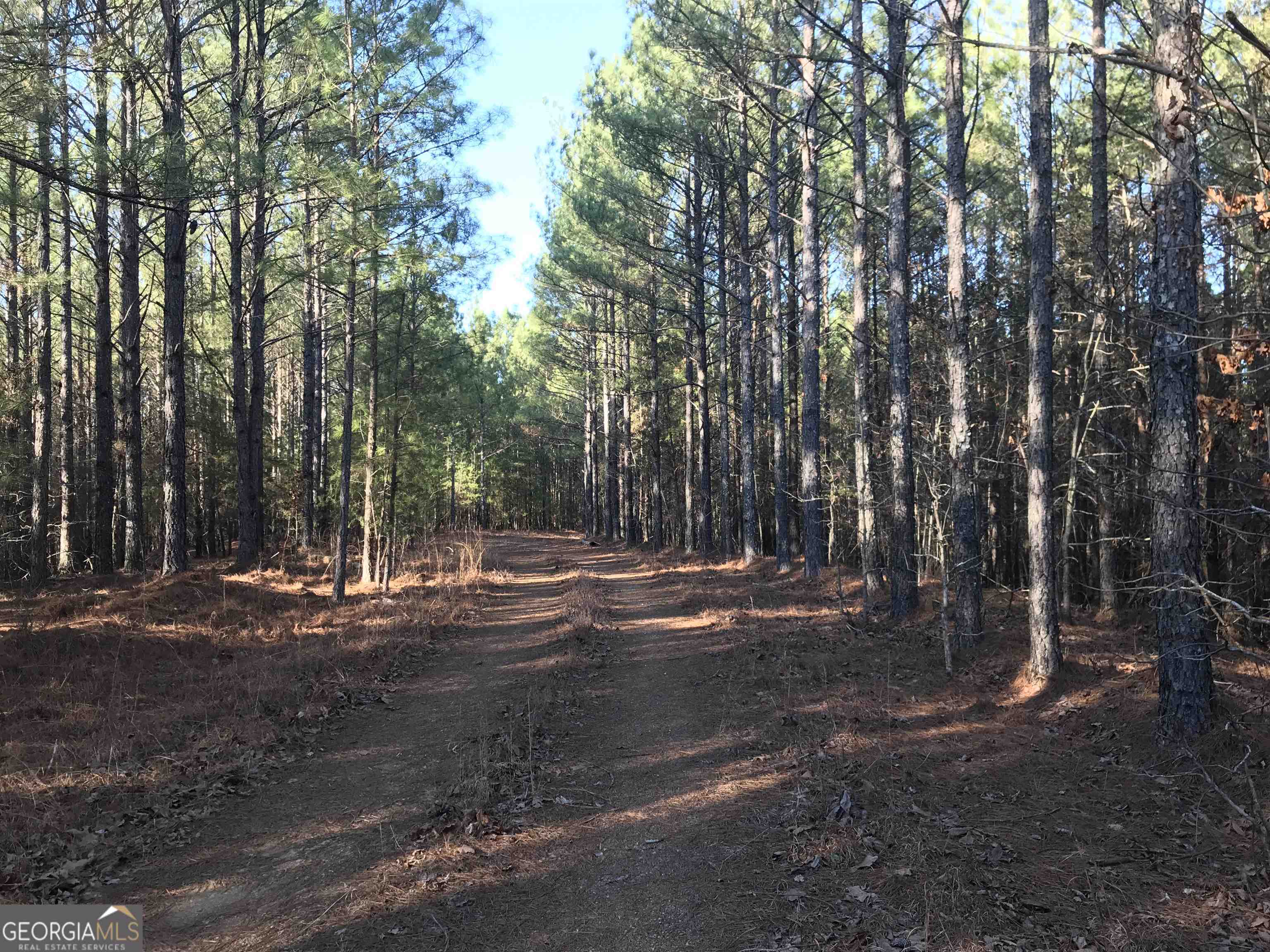 0 Redbud Road Northeast, Unit 9625 Ranger, GA 30734 - Photo 9 of 15