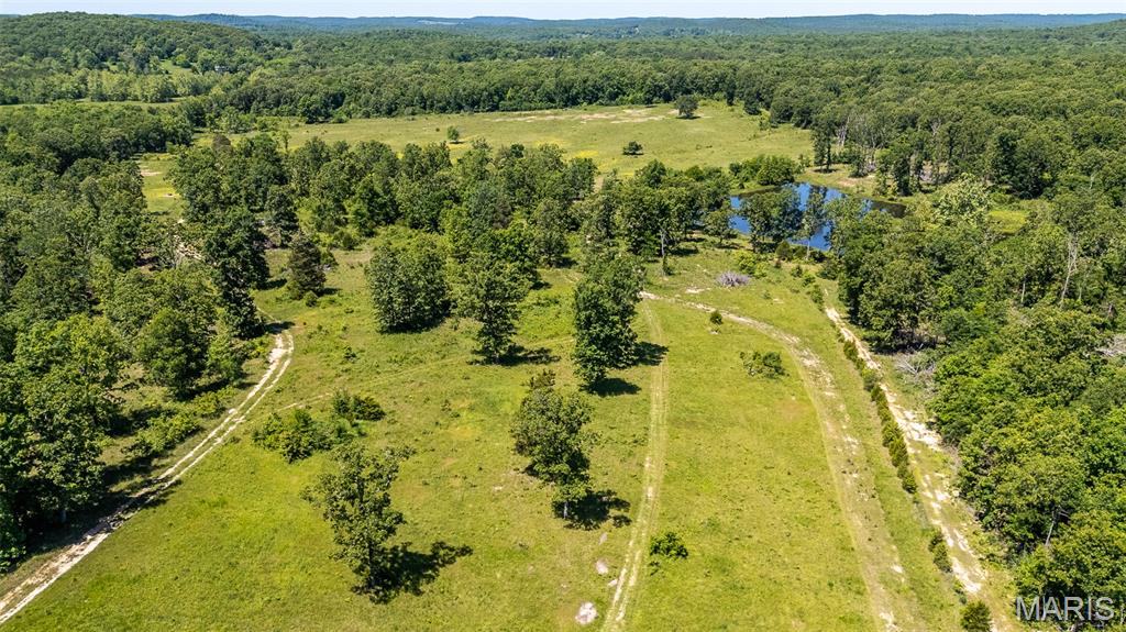 689 Ripley Route Gatewood, MO 63942 - Photo 21 of 45