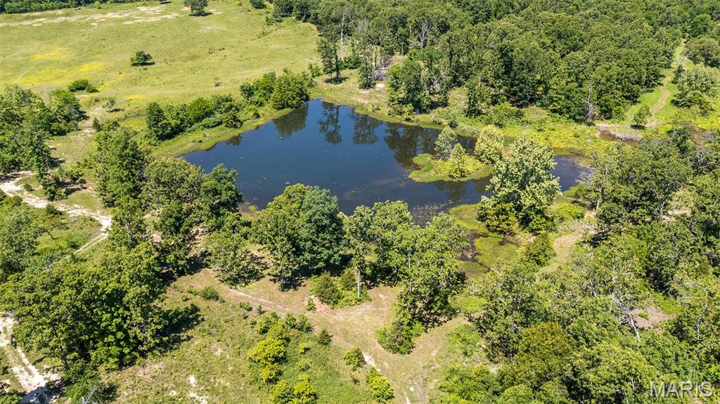 689 Ripley Route Gatewood, MO 63942 - Photo 22 of 45