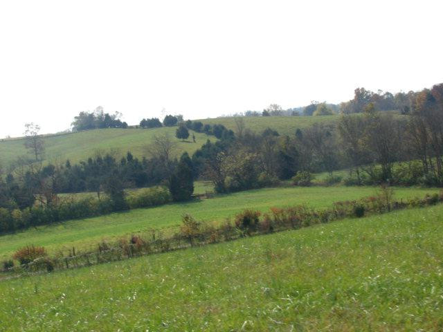 0 Ralph Park East Richmond, KY 40475 - Photo 3 of 37 Photo 3