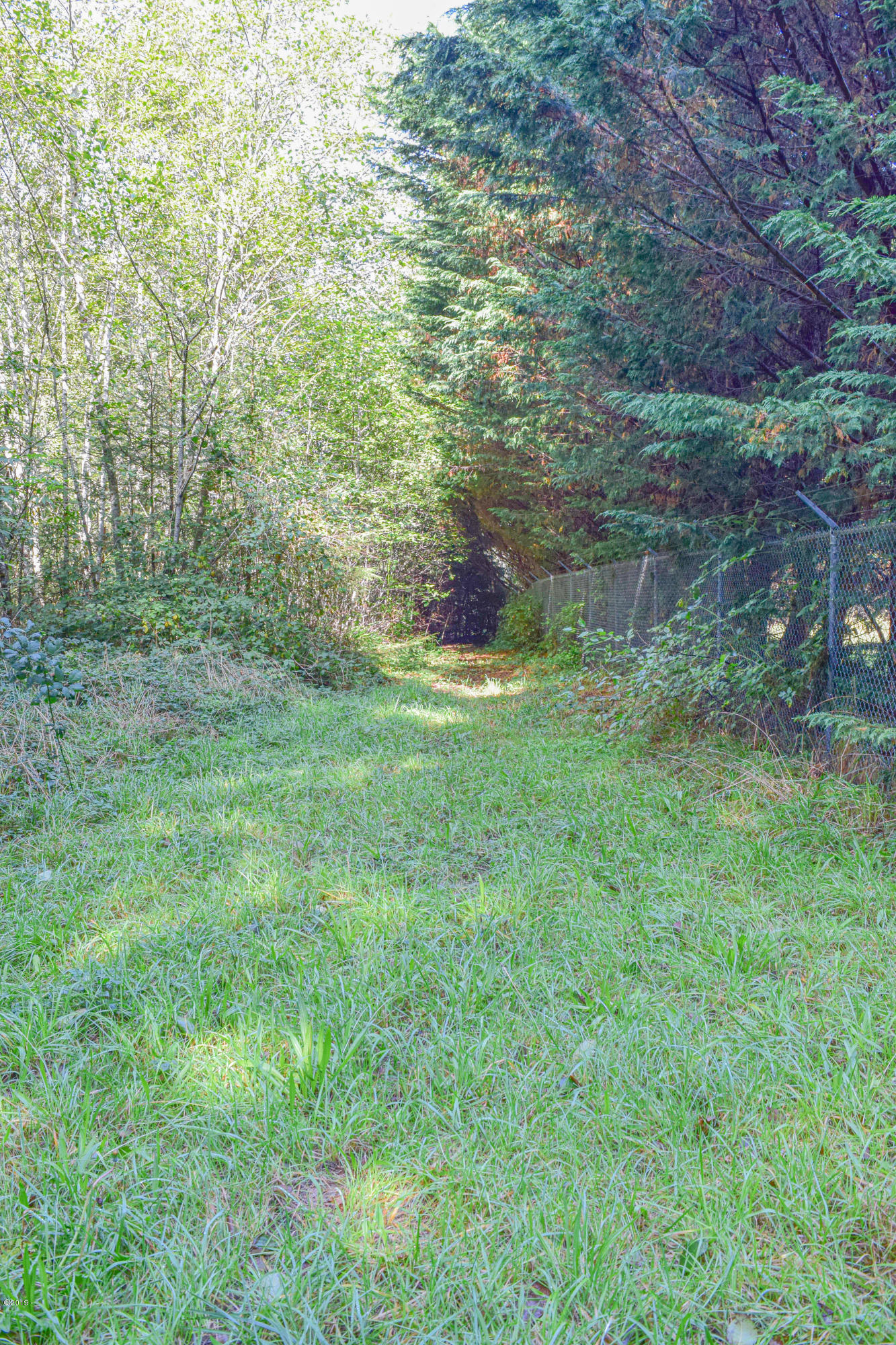 3174 Northeast East Line Road Yachats, OR 97498 - Photo 9 of 12 East Line