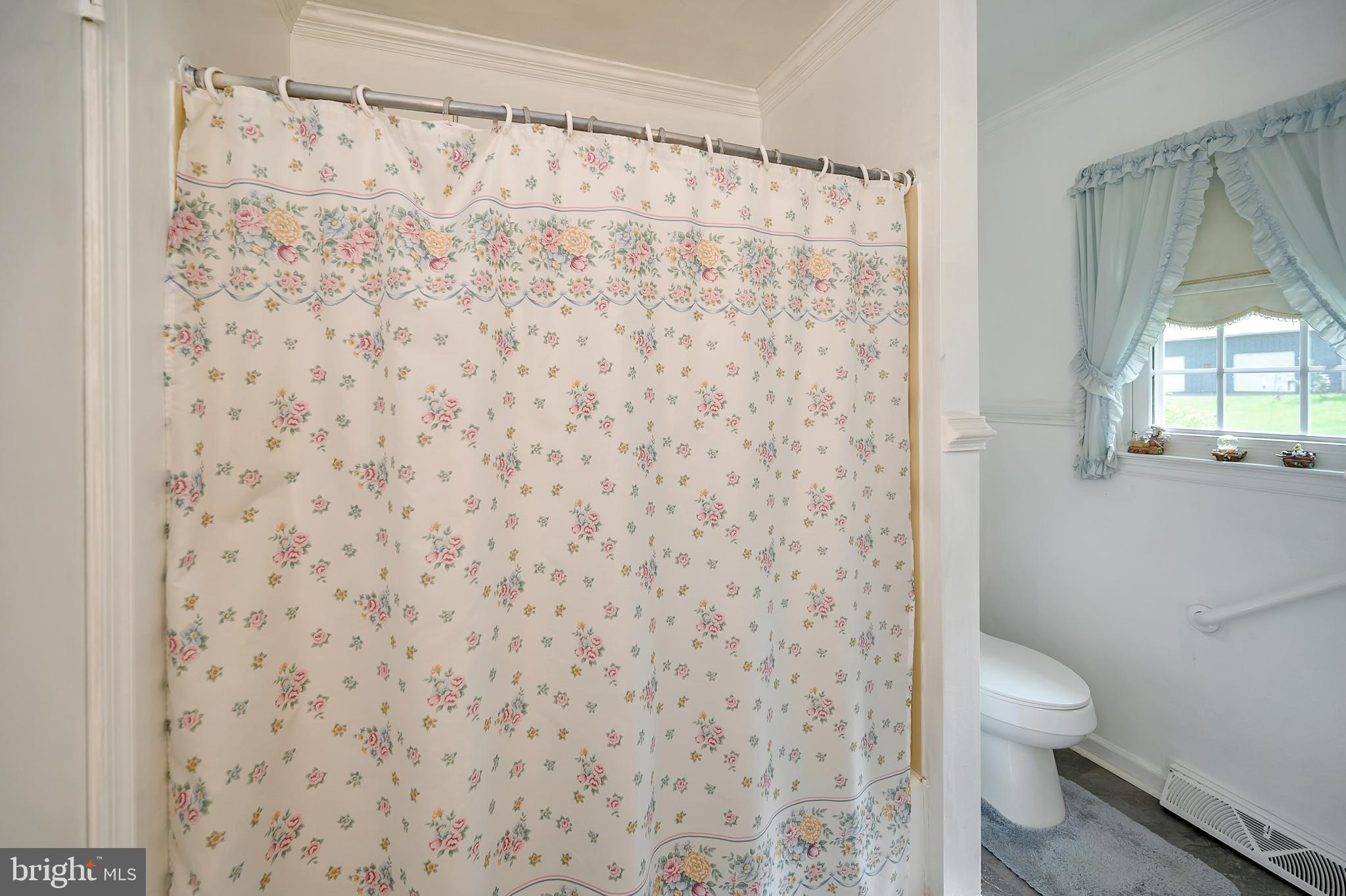 30306 Mine Run Road Locust Grove, VA 22508 - Photo 24 of 52 Main bath