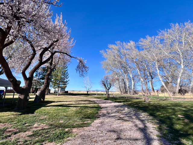 479 East 100 N Road Meadow, UT 84644 - Photo 49 of 59 View of street