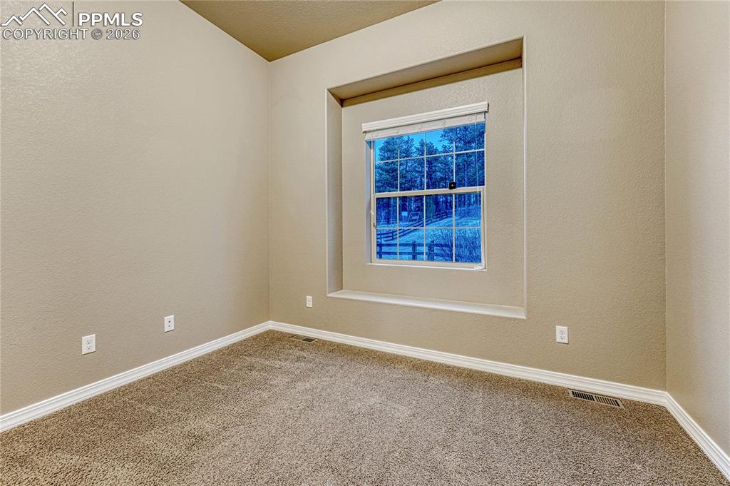 16211 St Lawrence Way Monument, CO 80132 - Photo 22 of 50