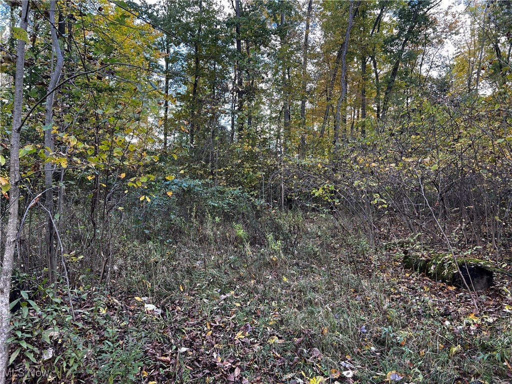 Topper Road Jefferson, OH 44047 - Photo 27 of 35