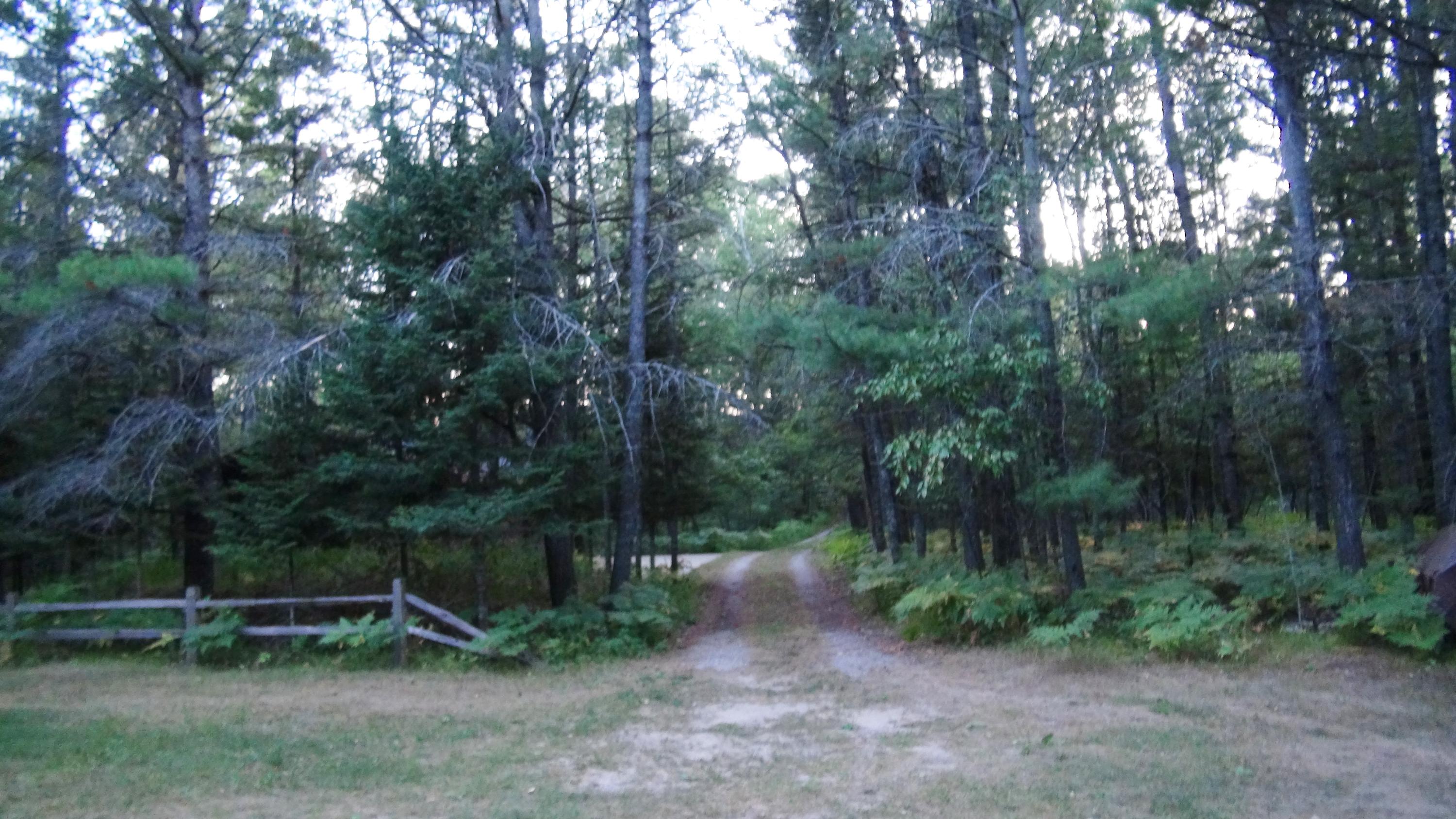 65 Flashlight Bend Road Grayling, MI 49738 - Photo 45 of 79 Gallery Image 45