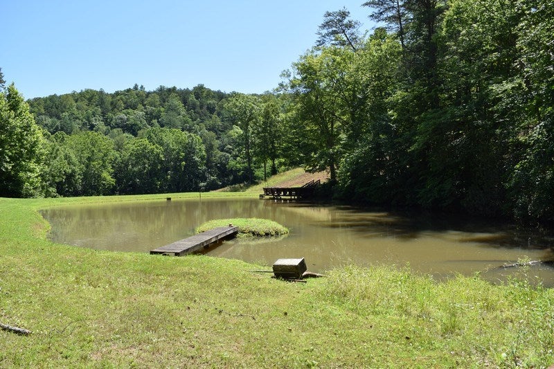 Johnnys Ridge Road Ferrum, VA 24088 - Photo 31 of 49 Gallery Image 31