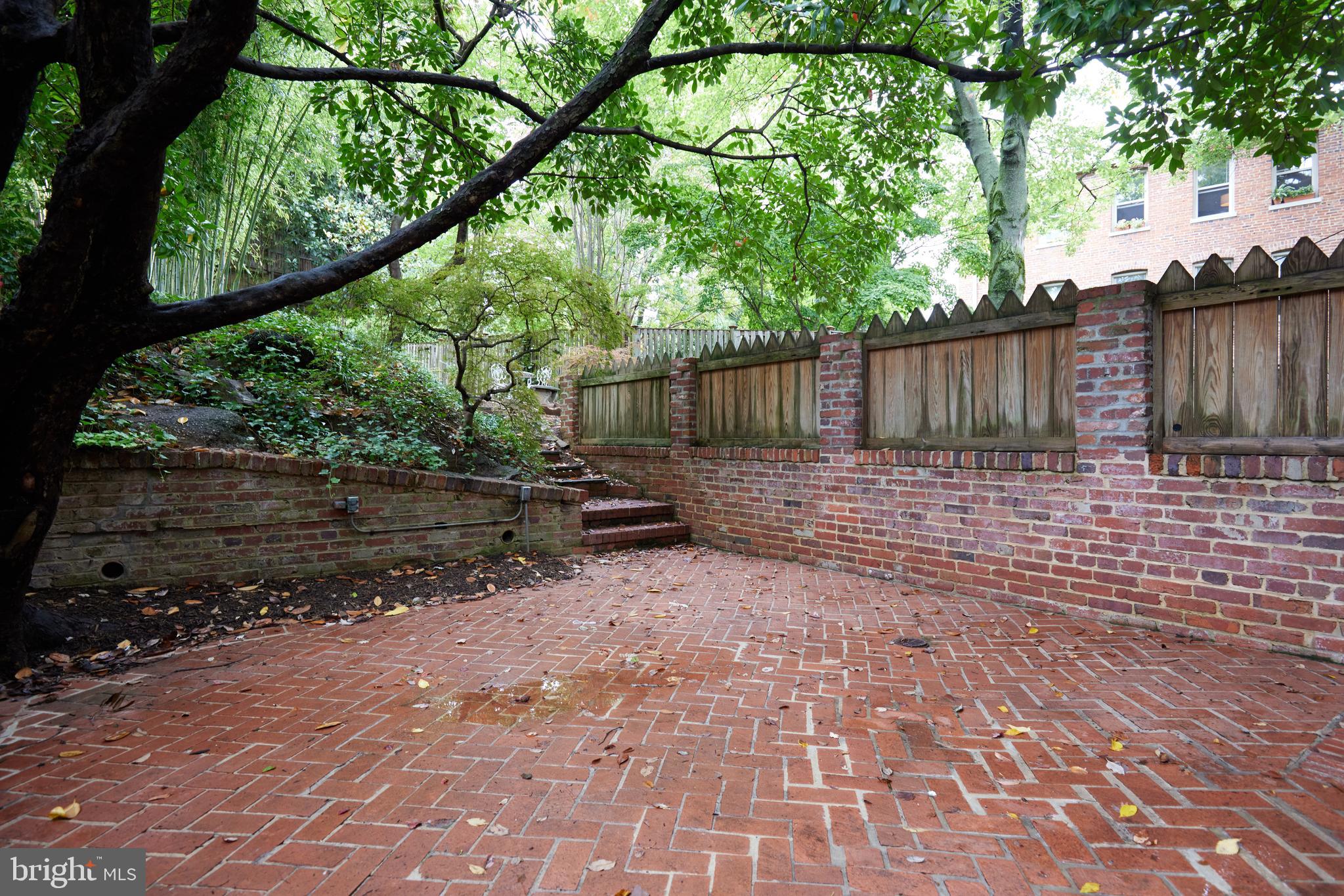 3057 Q Street Northwest Washington, DC 20007 - Photo 34 of 52 Rear Patio