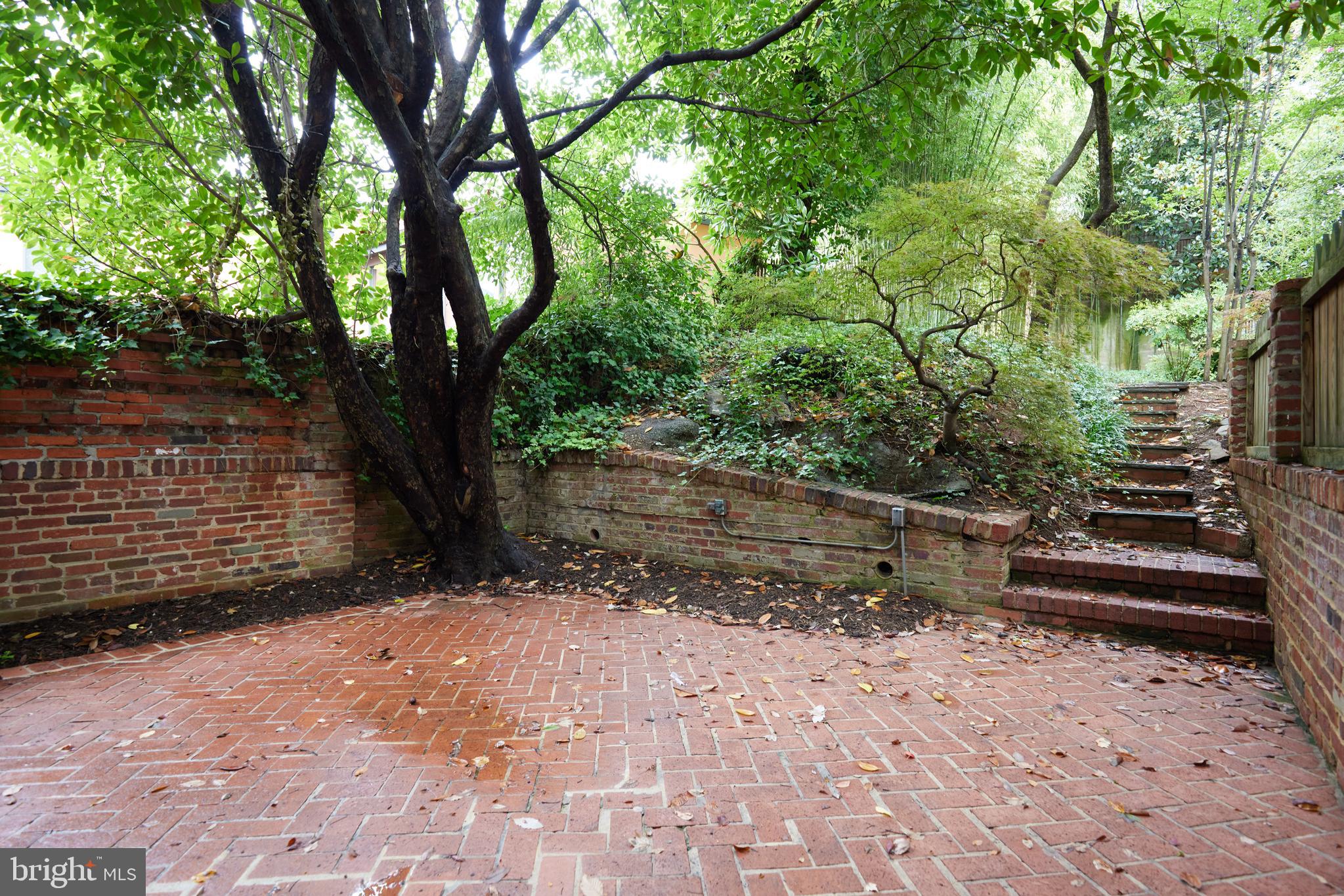 3057 Q Street Northwest Washington, DC 20007 - Photo 36 of 52 Rear Patio