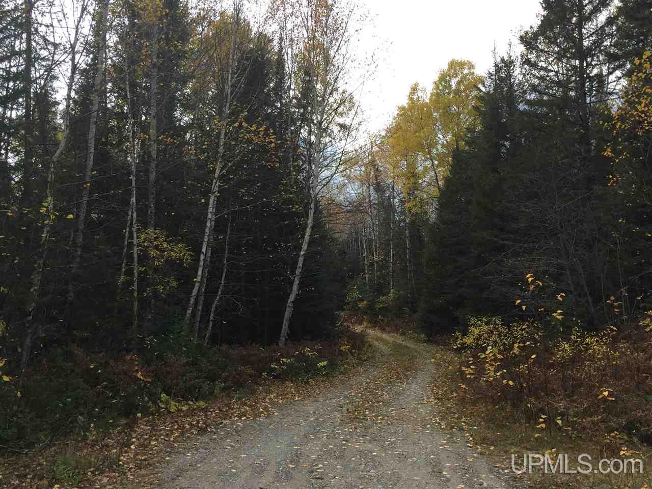 Tbd Tbd Co Road Michigamme, MI 49861 - Photo 6 of 18