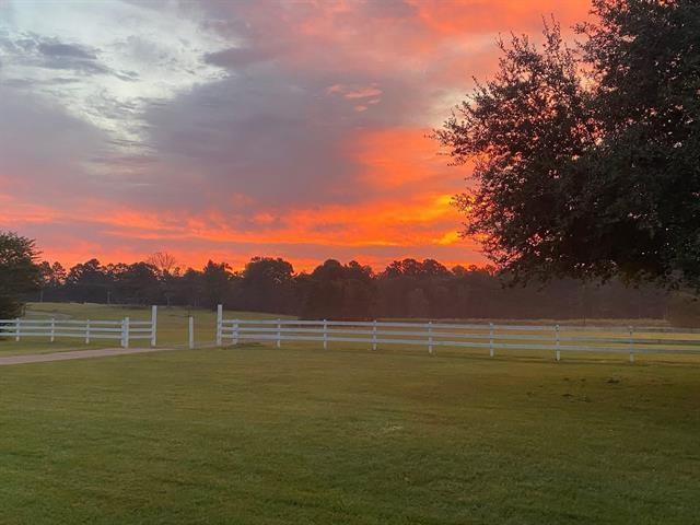 10100 FM 1650 Gilmer, TX 75645 - Photo 37 of 40