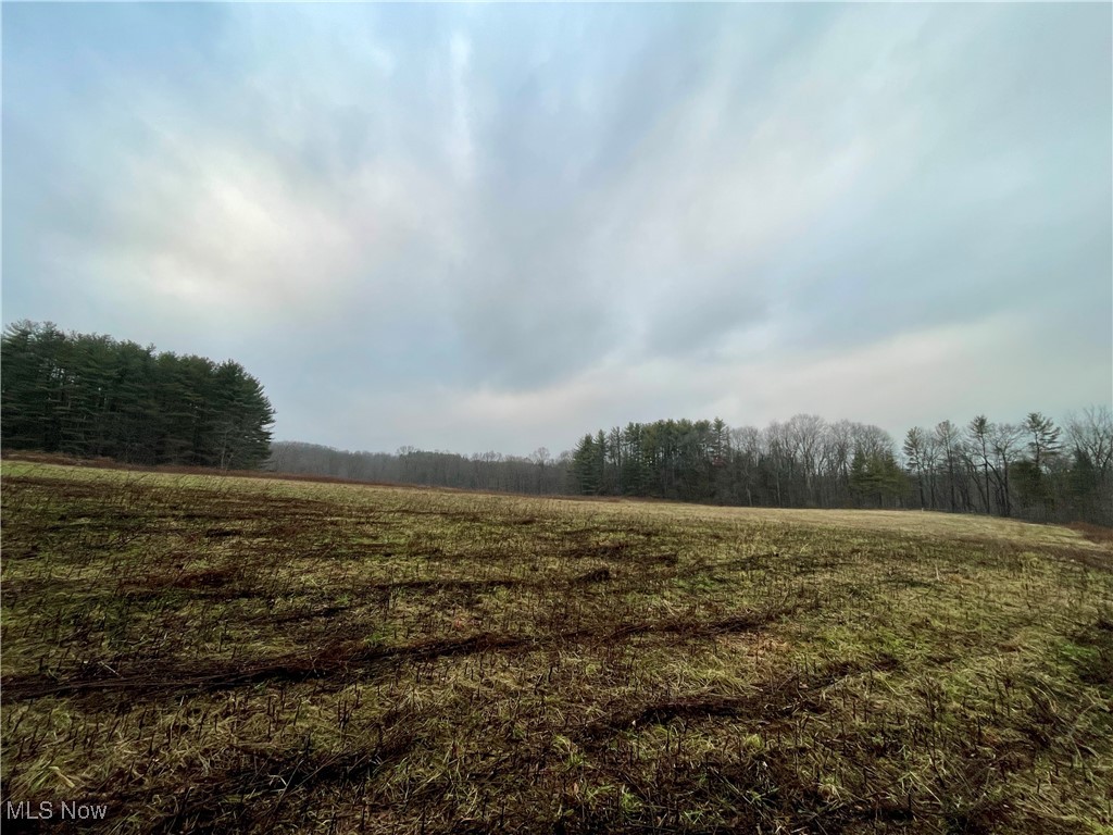 0 Endley Road Cambridge, OH 43725 - Photo 16 of 20 View of woods featuring a view of rural / pastoral area