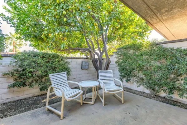 a balcony with furniture and a potted plant
