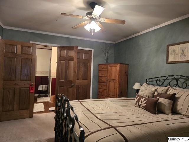 704 Orchard Lane Carthage, IL 62321 - Photo 18 of 36 a bedroom with a bed and a chandelier