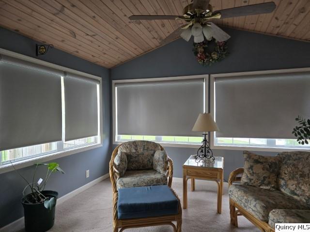 704 Orchard Lane Carthage, IL 62321 - Photo 19 of 36 a living room with furniture and a potted plant