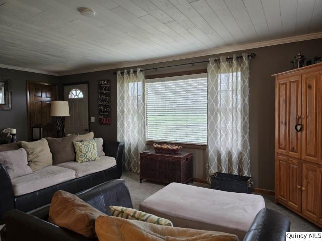 704 Orchard Lane Carthage, IL 62321 - Photo 6 of 36 a bedroom with furniture and wooden floor