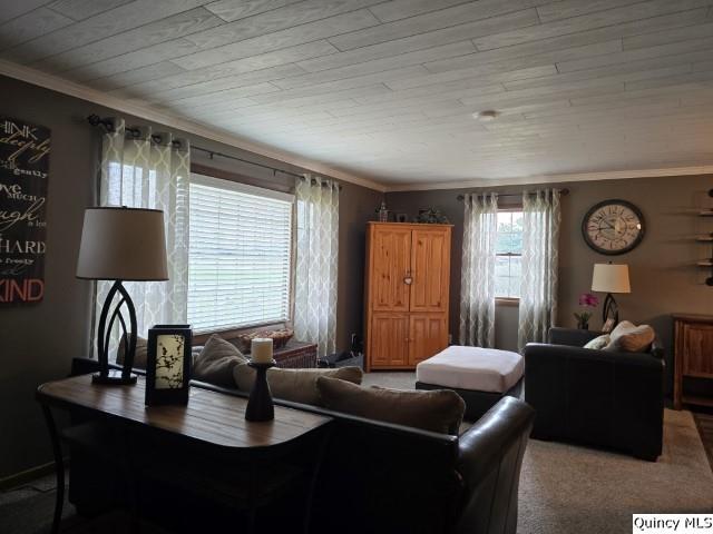 704 Orchard Lane Carthage, IL 62321 - Photo 8 of 36 a living room with furniture a window and a lamp