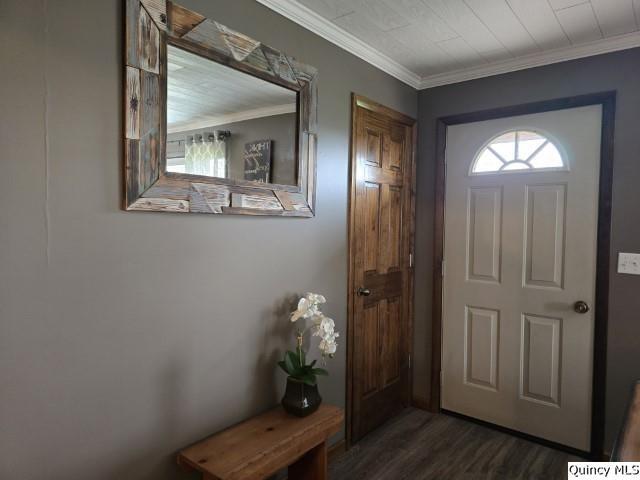 704 Orchard Lane Carthage, IL 62321 - Photo 9 of 36 an entryway with wooden floor and a mirror