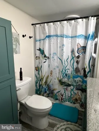a white toilet sitting next to a shower curtain