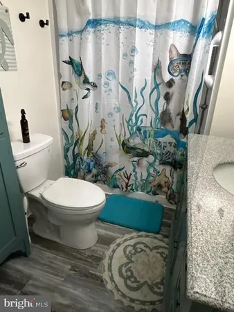 a white toilet sitting next to a shower curtain