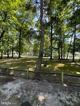 a view of a park that has large trees