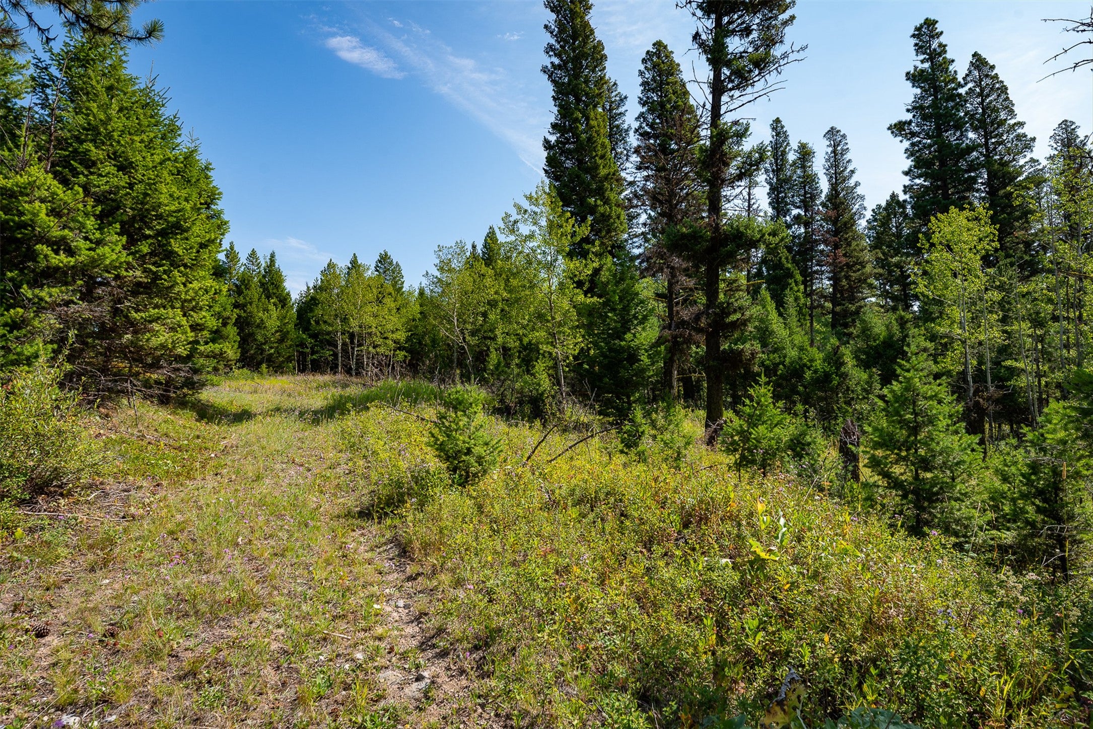 2 2 Bear Springs Road Lincoln, MT 59639 - Photo 22 of 55 Gallery Image 22