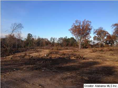 Rock Church Road, Unit 7 3 Sylacauga, AL 35150 - Photo 14 of 27 Gallery Image 14